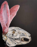 Bunny skull with fluffy pink ears
